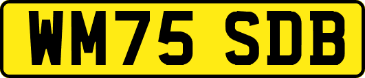 WM75SDB