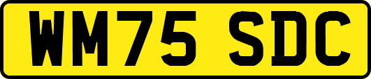 WM75SDC