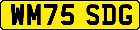WM75SDG