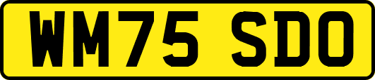 WM75SDO
