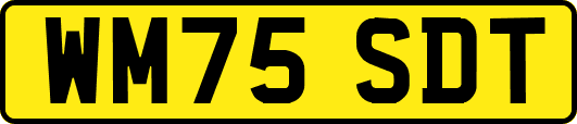 WM75SDT