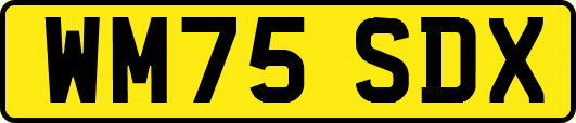 WM75SDX