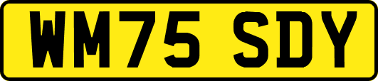 WM75SDY