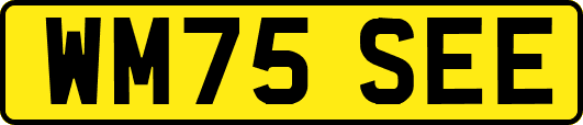 WM75SEE