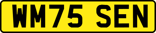 WM75SEN