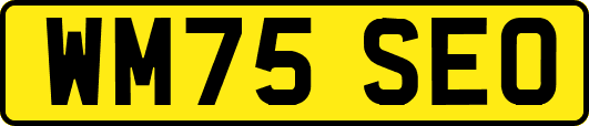 WM75SEO