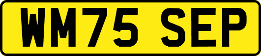 WM75SEP