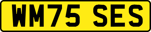 WM75SES