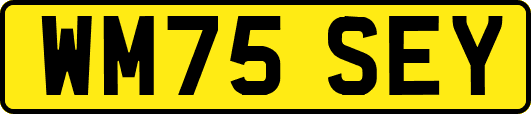 WM75SEY
