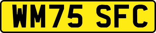 WM75SFC