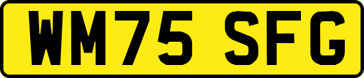 WM75SFG