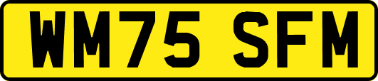 WM75SFM