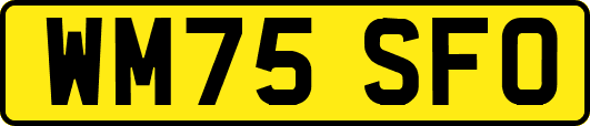 WM75SFO