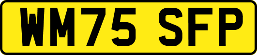 WM75SFP