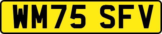 WM75SFV
