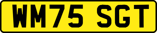 WM75SGT