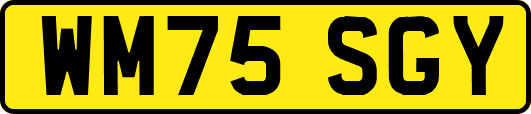 WM75SGY