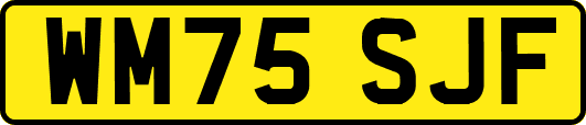 WM75SJF