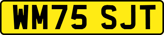WM75SJT