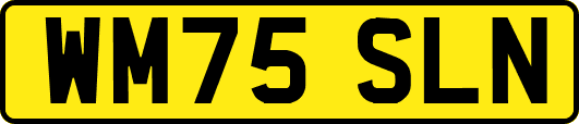 WM75SLN