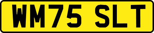 WM75SLT