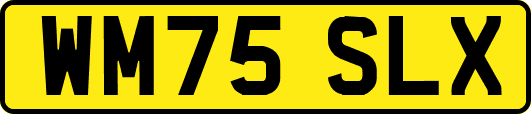 WM75SLX