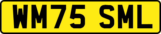 WM75SML