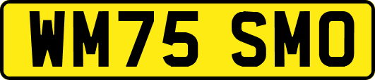 WM75SMO