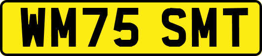 WM75SMT
