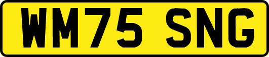 WM75SNG