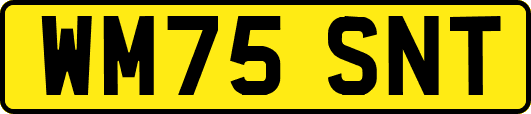WM75SNT