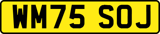 WM75SOJ