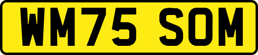 WM75SOM