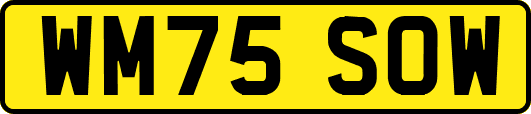 WM75SOW