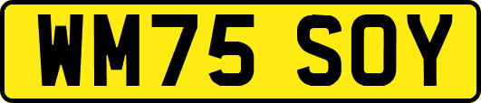 WM75SOY