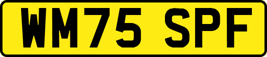 WM75SPF