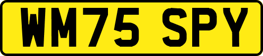 WM75SPY
