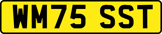 WM75SST