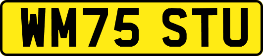 WM75STU