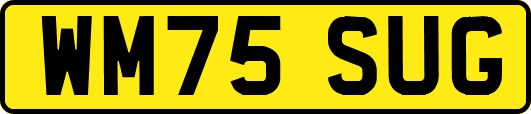 WM75SUG