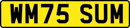 WM75SUM