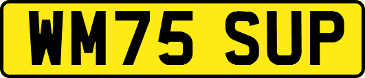 WM75SUP