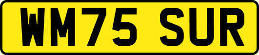 WM75SUR