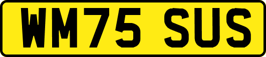 WM75SUS