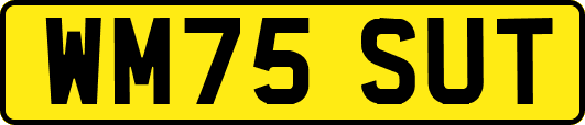 WM75SUT