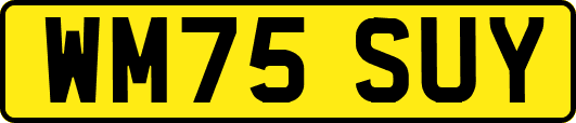 WM75SUY