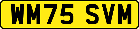 WM75SVM