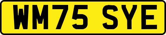 WM75SYE