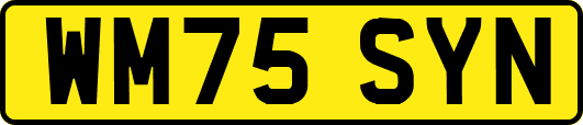 WM75SYN