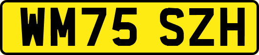 WM75SZH